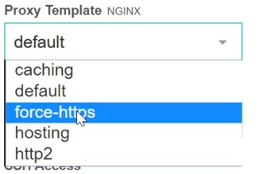 Nginx force HTTPS template in vestacp